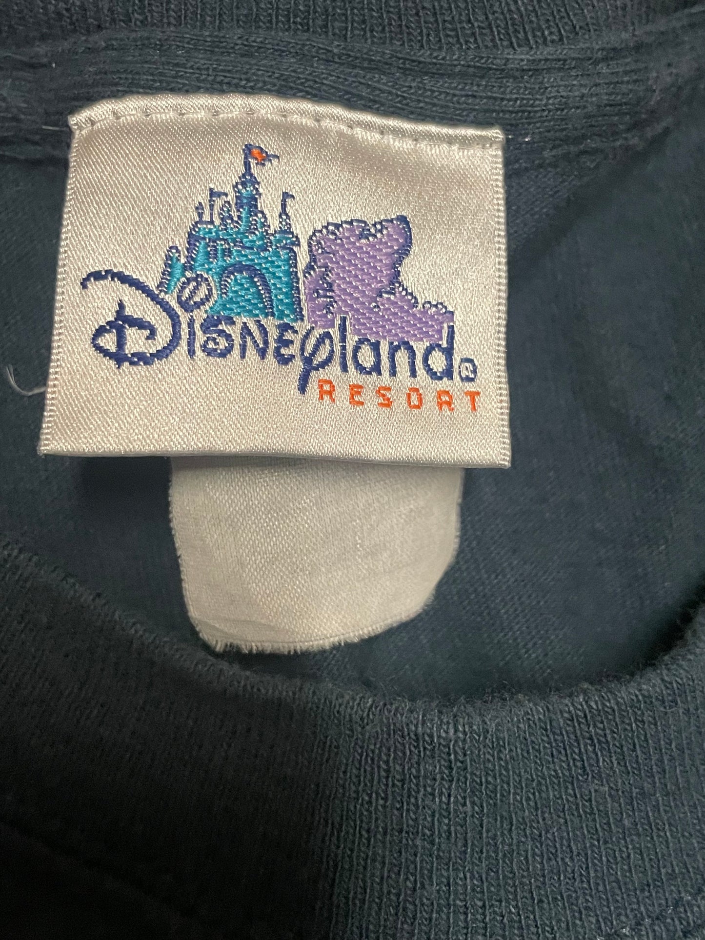 Vintage 90’s Disneyland Tee (L)